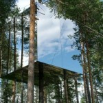 Almost Invisible Tree House - Outside